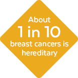 About 1 in 10 breast cancers is hereditary